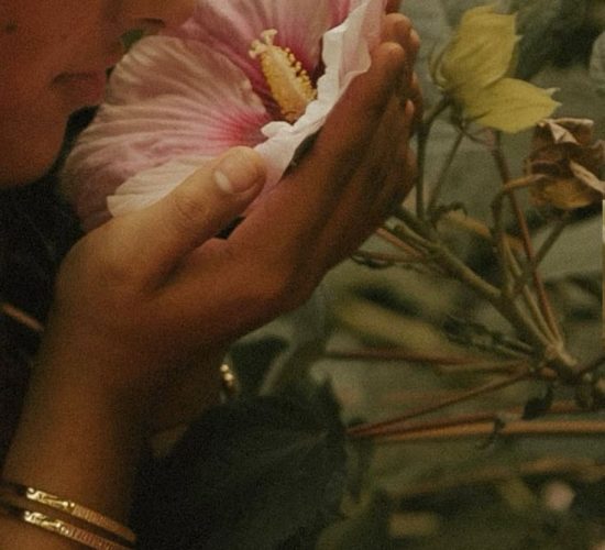 Open up to Pleasure, Workshop